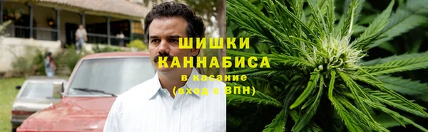 PSILOCYBIN Богданович