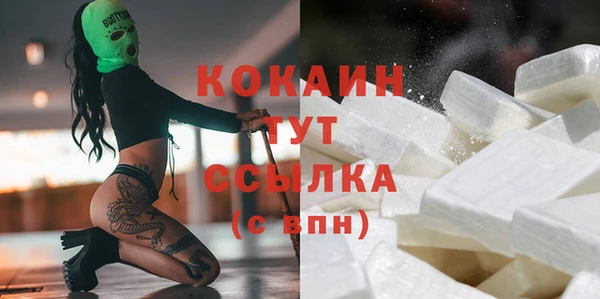 PSILOCYBIN Богданович