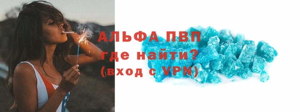 PSILOCYBIN Богданович