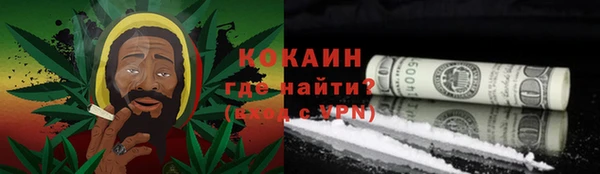 PSILOCYBIN Богданович
