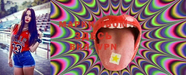 PSILOCYBIN Богданович