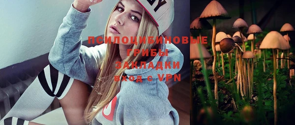 трава Бронницы