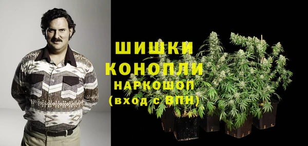 дмт Богородицк