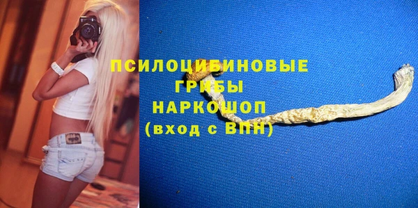 дмт Богородицк